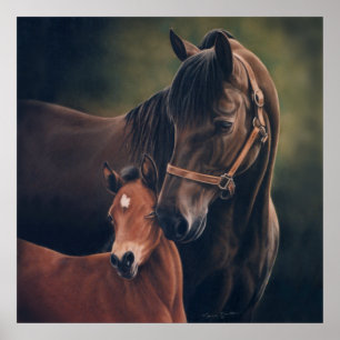 Morgan Mare e Foal por Lynn Peterson Poster