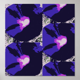 Morning Glória Flor Poster