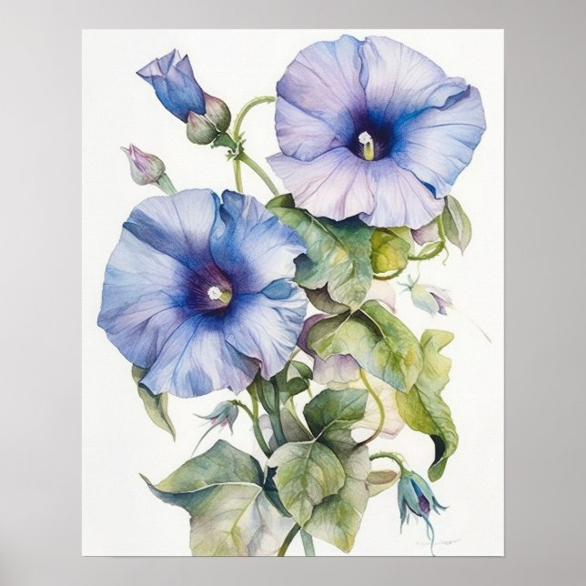 Morning Glory Flowers Art Impressão (Frente)