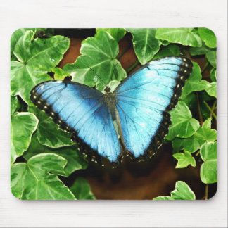 Morpho azul Mousepad