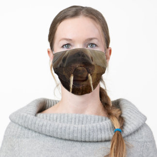 morsa do oceano engraçado