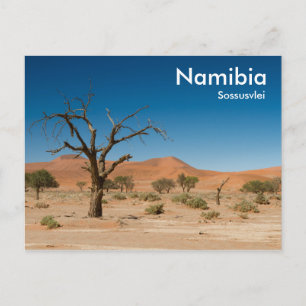 Morto Árvore do cartão postal Sossusvlei com tex