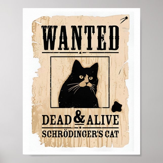 Morto De Gato De Schrodinger Vivo Ou Poster De Gat (Frente)