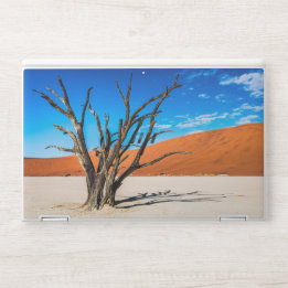 Morto em Deadvlei, Namíbia