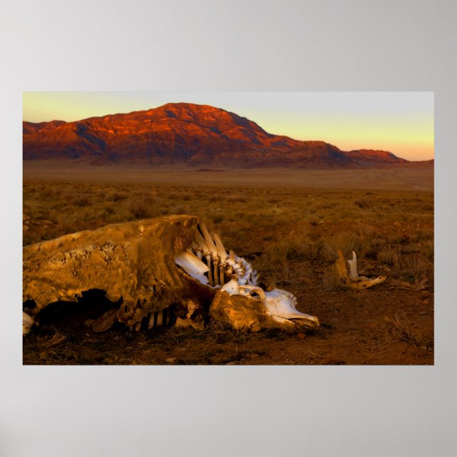 Morto fantástico em Sunset Poster (Frente)