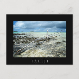 Morto no Pacífico - cartão postal de texto preto