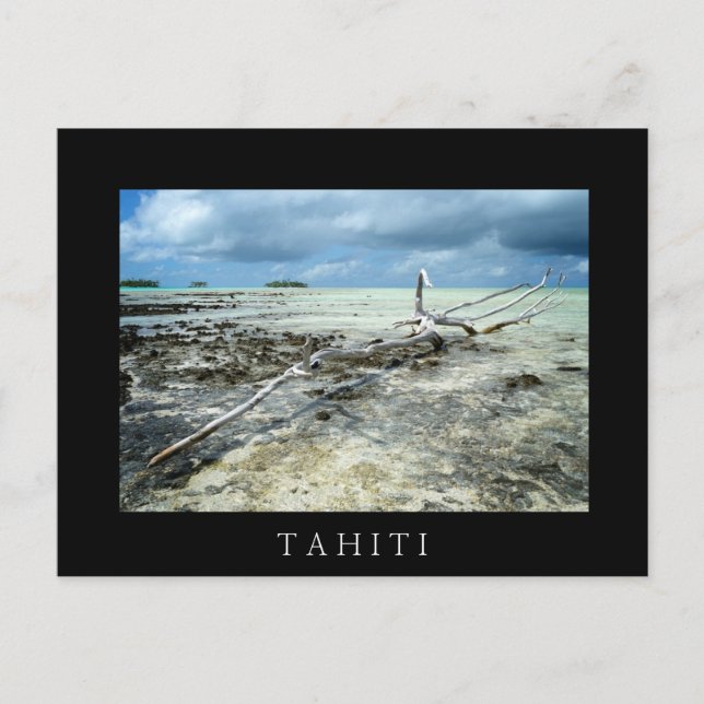 Morto no Pacífico - cartão postal de texto preto (Frente)