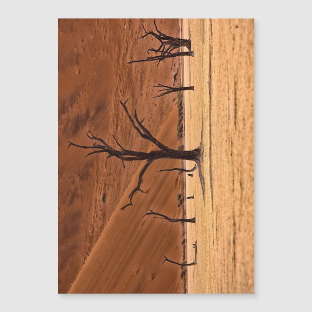 Morto Vlei, Namíbia (Frente)