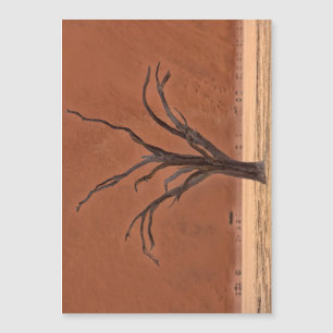 Morto Vlei, Namíbia