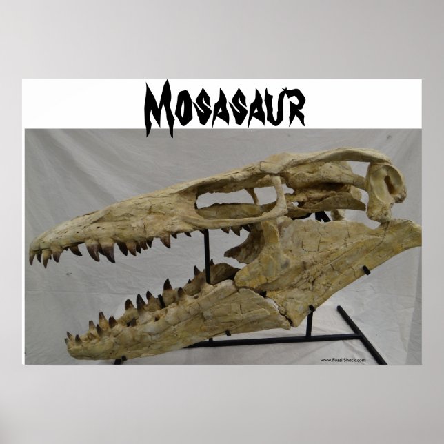Mosasaur Poster (Frente)