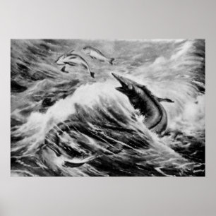 Mosassauro - Impressão Antiquado Animal Pré-Histór