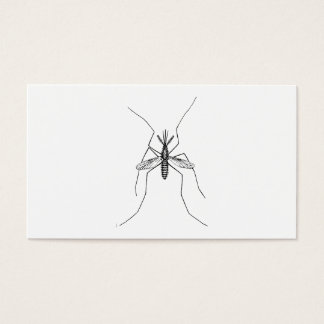 Mosquito