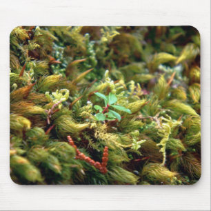 Moss Mousepad Detalhado