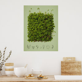 Motif poster