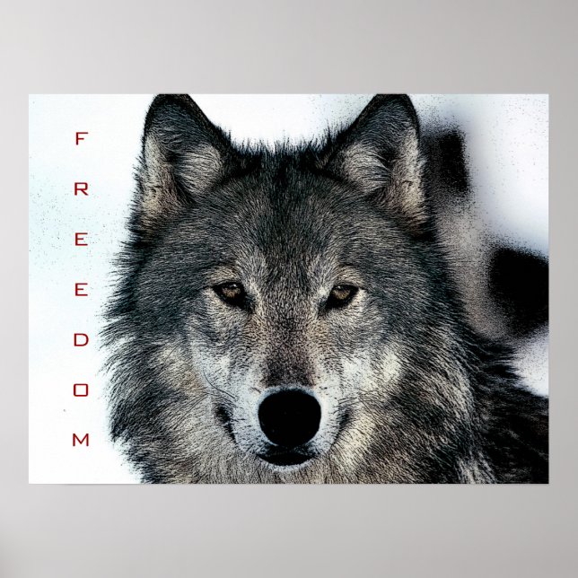 Motivação Liberdade Coragem Wolf Poster (Frente)