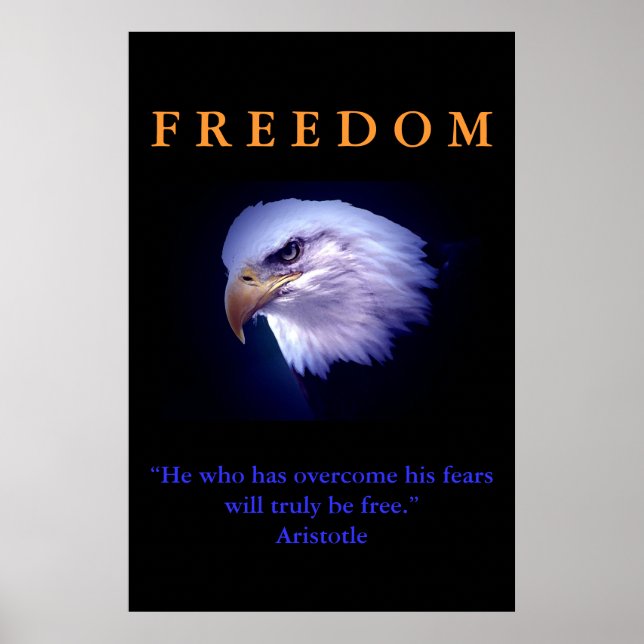 Motivation Freedom Courage Eagle Poster (Frente)