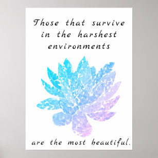 motivational succulent art blue and pink poster