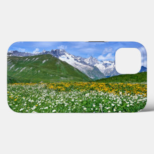 Mountains Swiss Alps Valley Spring