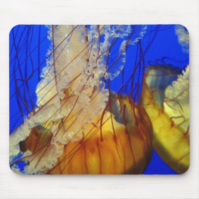 Mouse Pad - Água-vivas (Frente)