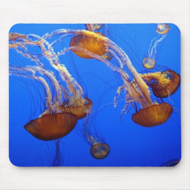 Mouse Pad - Água-vivas (Frente)