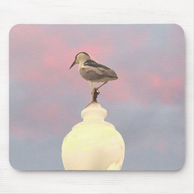 Mouse Pad - Black Crowned Night-Heron (Frente)