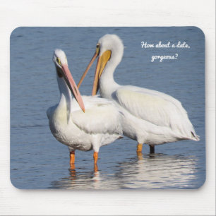 Mouse Pad com Dois Pelicanos Engraçados
