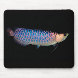 Mouse Pad de arowana asiática "Tipo Azul"