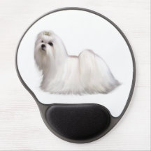 Cão Maltês