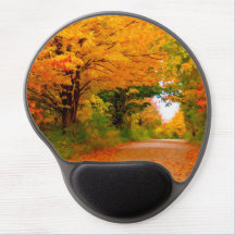 Paisagem do outono das árvores em áreas rurais