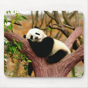 Mouse Pad de Panda Bebê Dormindo