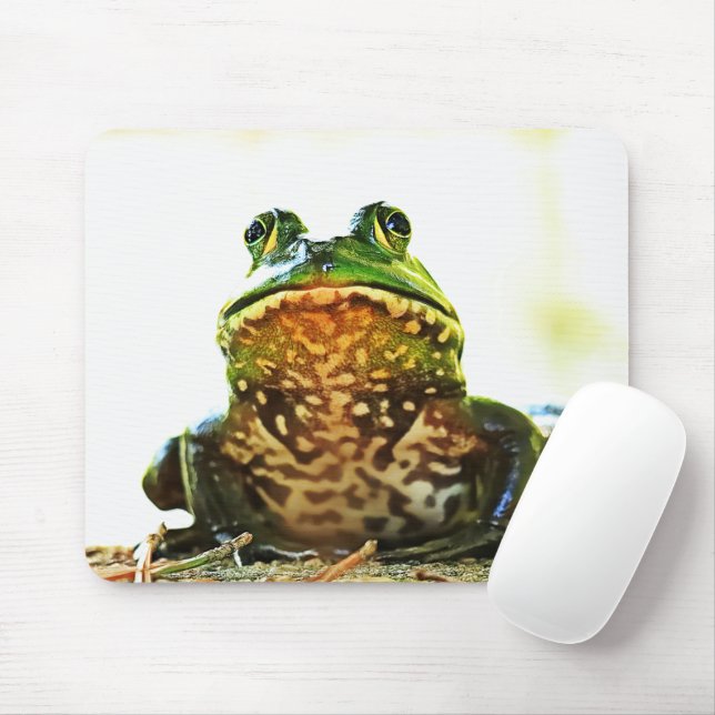 Mouse Pad de Perna Americana (Com mouse)