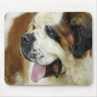 mouse pad do santo