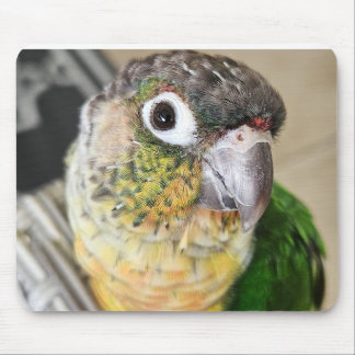 Mouse Pad e tapete de mesa