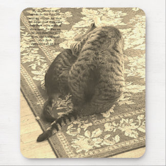 Mouse Pad Gato Ajudando Gatinho