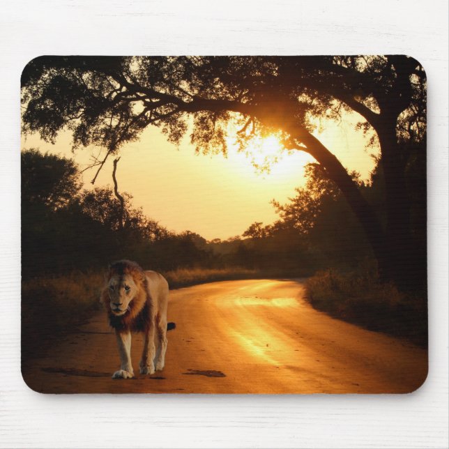 Mouse Pad Lion na estrada na África (Frente)