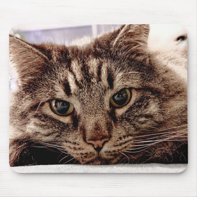 Mouse Pad Maine Coon Cat (Frente)