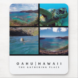 Mouse pads de Havaí
