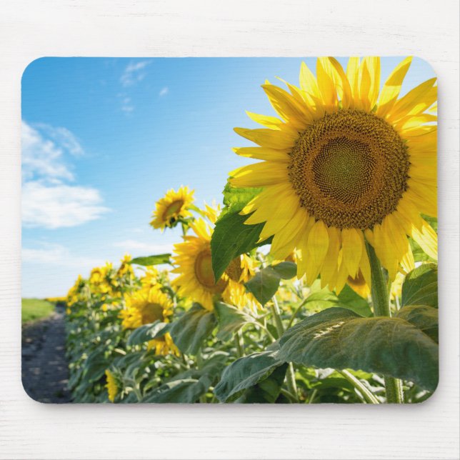 Mousepad (Frente)