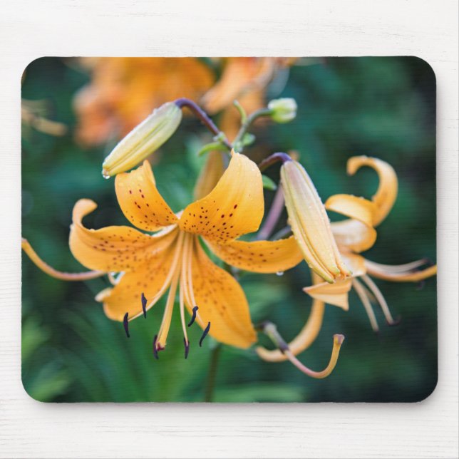 Mousepad (Frente)
