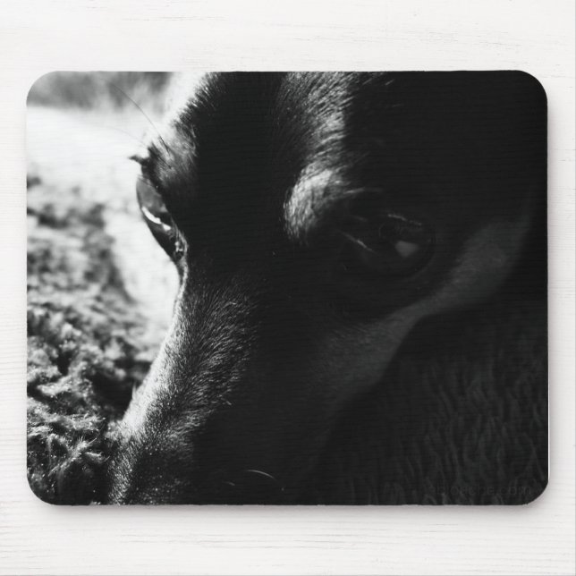 MOUSEPAD ミニチュアピンシャー マウスパッド (Frente)