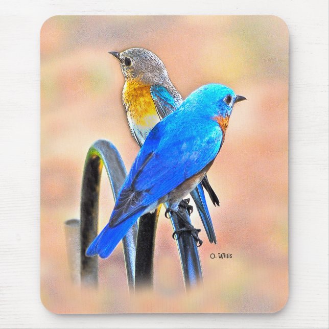 Mousepad 010 tapete do rato do amor 7.75x9.25 do Bluebird (Frente)