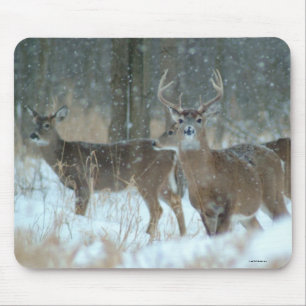 MOUSEPAD 011110-57-AMP