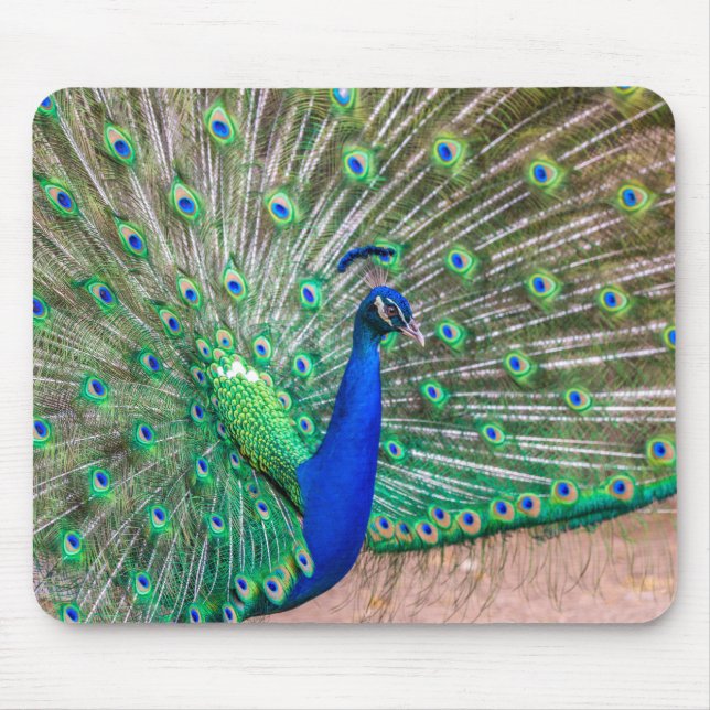 Mousepad 0601-Pavão (Frente)