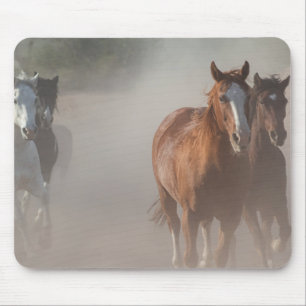 Mousepad 0800-Wild Mustangs Running