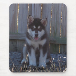 Mousepad 100_2932, Malamutes de St Francis