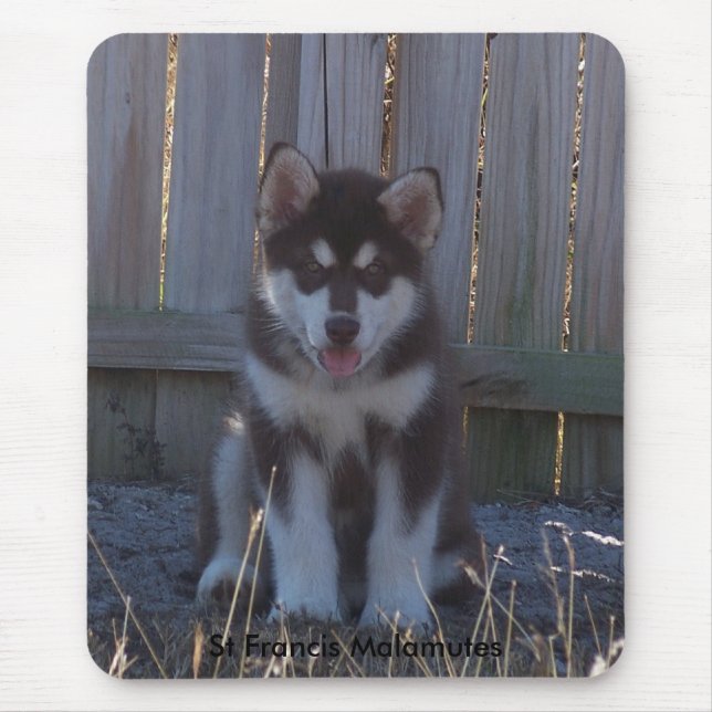 Mousepad 100_2932, Malamutes de St Francis (Frente)