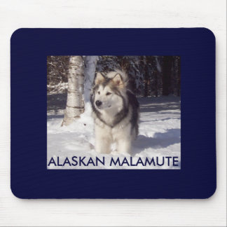 MOUSEPAD 100_5815, MALAMUTE DO ALASCA