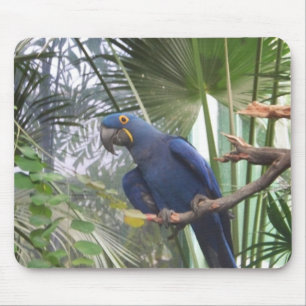 MOUSEPAD 101_0361