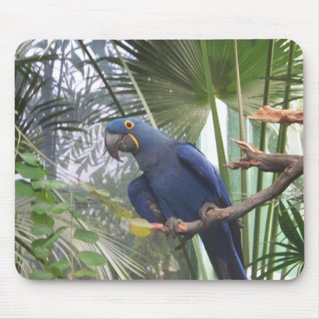 MOUSEPAD 101_0361 (Frente)