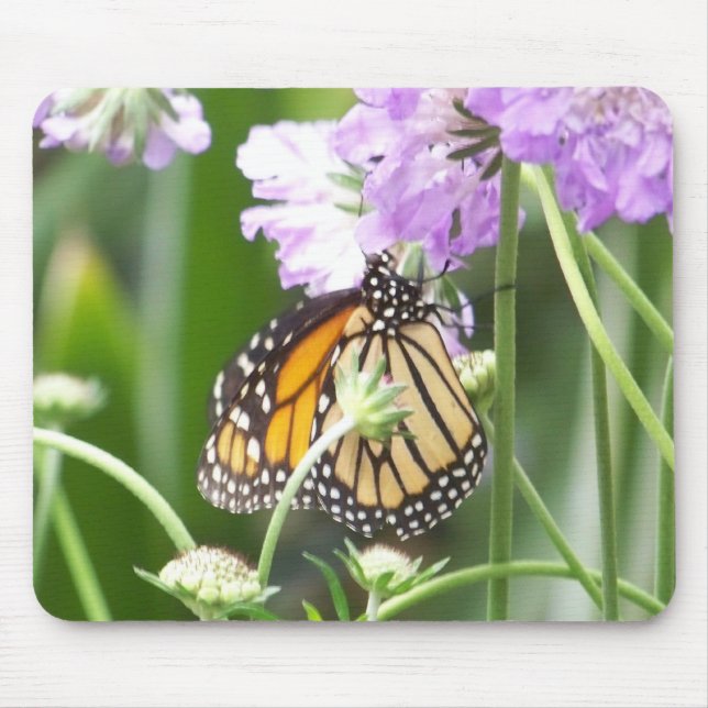 MOUSEPAD 101_0392 (Frente)